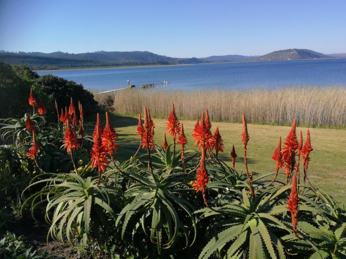Kairos On The Lake, Swartvlei Lake, Sedgfield, Garden Route Sedgefield Esterno foto