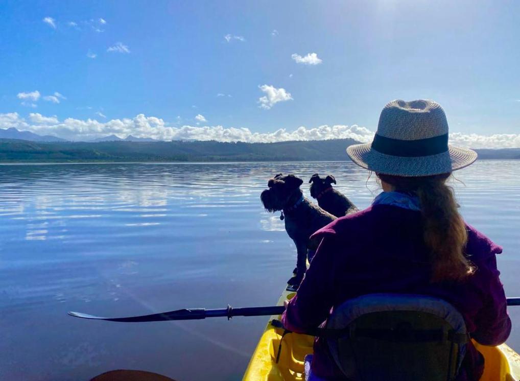 Kairos On The Lake, Swartvlei Lake, Sedgfield, Garden Route Sedgefield Esterno foto